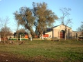 imag0345.jpg